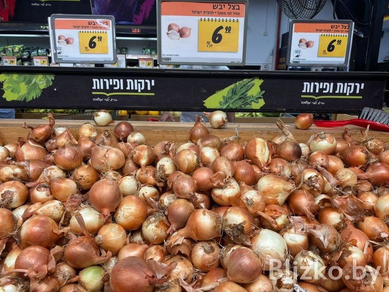 Сравнили цены на продукты в магазинах Беларуси и Израиля. И вот что получилось Сравнили цены на продукты в магазинах Беларуси и Израиля. И вот что получилось