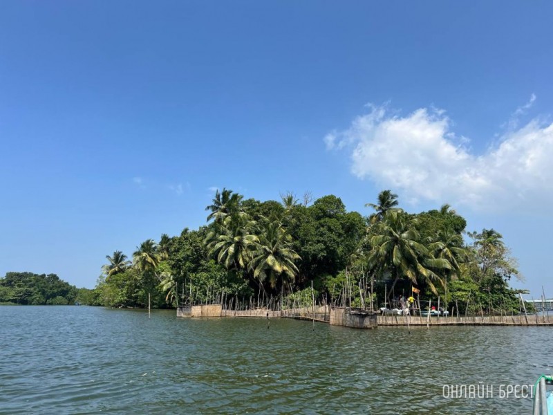 Самый крупный штраф в истории Шри-Ланки наложили на двух туристов. Узнайте, за что