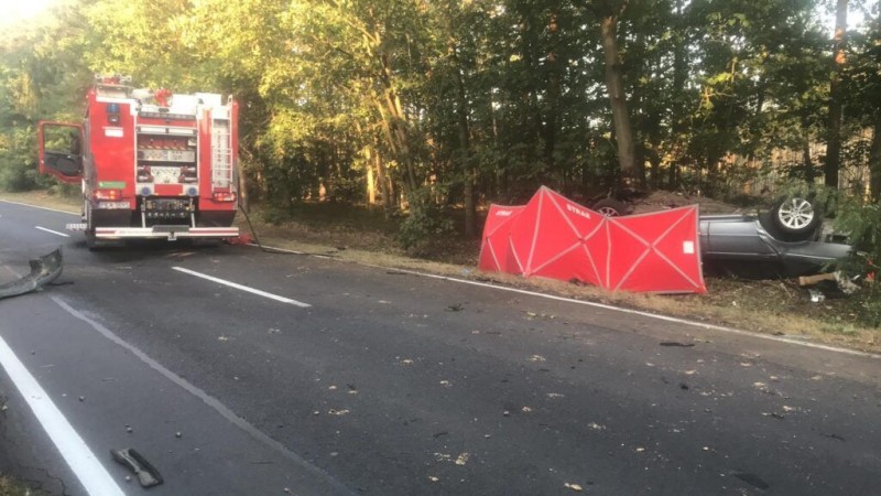 Белорус на BMW влетел в дерево и погиб в Польше